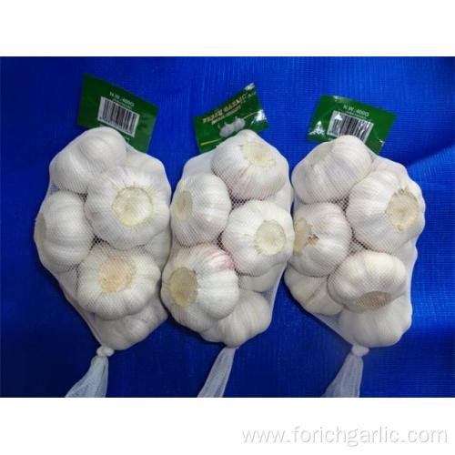 Hot Sale 2019 Normal White Garlic